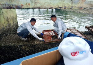 Kiểm tra mẫu Sơn Chống Hà 2 1787447835888 4780531490876866644 g6530777417598021282 3b423f24a043578577c7bfae2ac078de